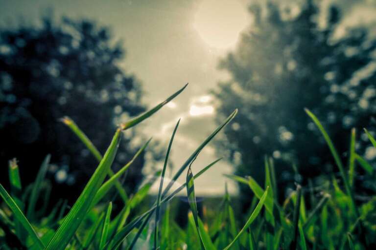 Consequatur dolores accusamus et sit adipisci facere